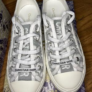 Gray Dior Sneaker || Walk N Dior